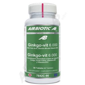 GINKGO VIT 6000