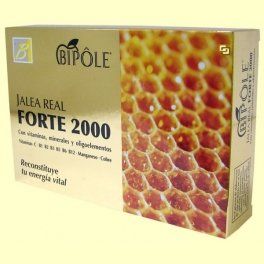 GALEA ROYAL FORTE