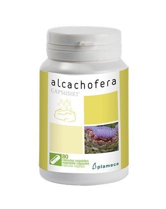 ALCACHOFERA