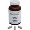 Salvestrol platinium