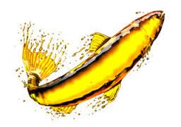 OMEGA-3-BACTERIAS-BUENAS.jpg